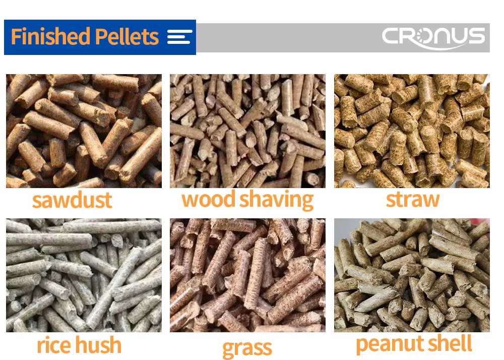 1754979286 copy 副本258