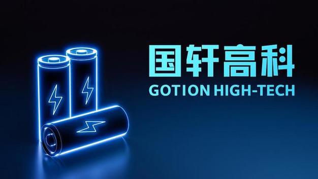 1773991275 国轩高科